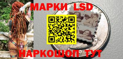 крисы Новодвинск