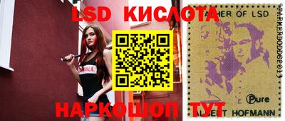 крисы Новодвинск