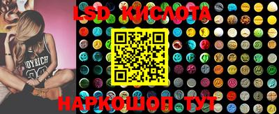 прущие крисы Новозыбков