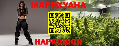 крисы Новодвинск