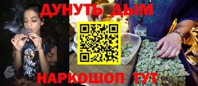 крисы Новодвинск