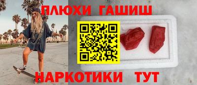 крисы Новодвинск