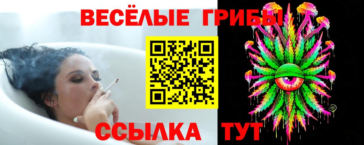 Мегион  купить   Вход с VPN  Псилоцибиновые грибы MAGIC MUSHROOMS 