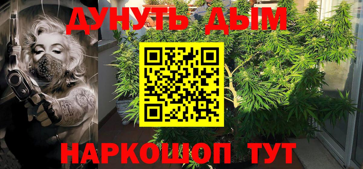 Марихуана гибрид Мегион